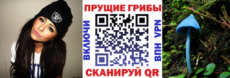 Псилоцибиновые грибы MAGIC MUSHROOMS  где купить   Аркадак 